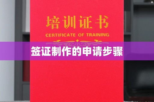 青田签证制作的申请步骤