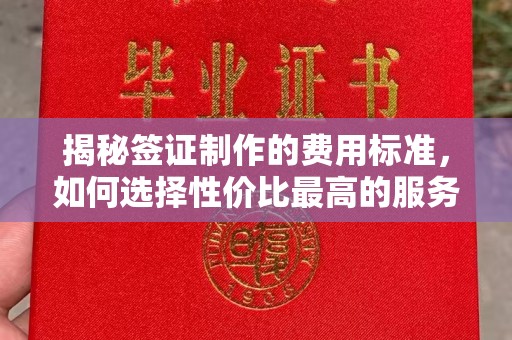 青田揭秘签证制作的费用标准，如何选择性价比最高的服务？
